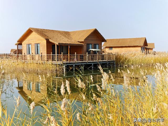 阿克苏野鸭湖景区芦花绽放与湖水交相辉映成为游客热门旅游打卡地