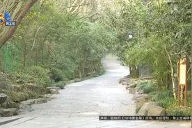 话术都一样！不买还挨了骂，小伙越想越气……图片