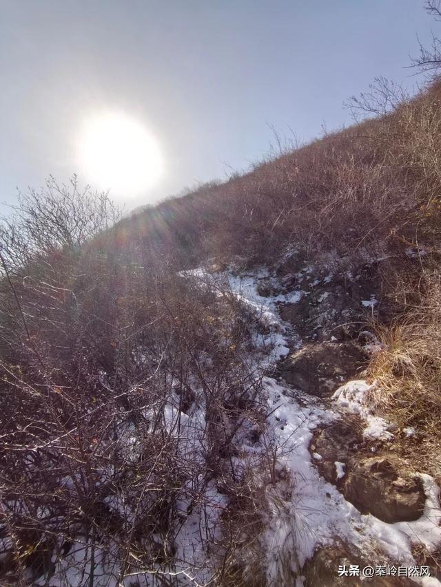 雪后初霁登顶嵯峨山，走荒野雪原，看千年悟空塔，感受历史的烟云