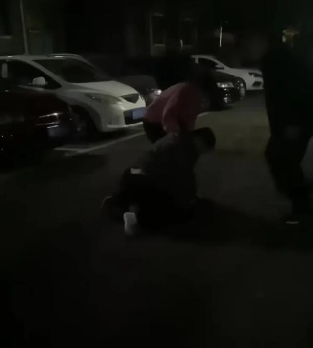 女子小区散步遭大狗咬断手筋	，小伙冲下2楼摁住肇事狗，手掌被咬穿，最新情况→