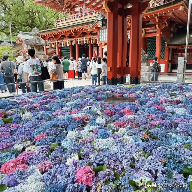 旅游业大降温！暑假过半宁愿宅家吹空调也不旅游？年轻人醒悟了！