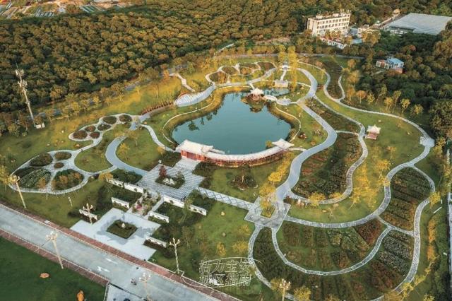 活力宝安城区指南｜山海蓝绿瞬间：山水连城，绿动宝安！