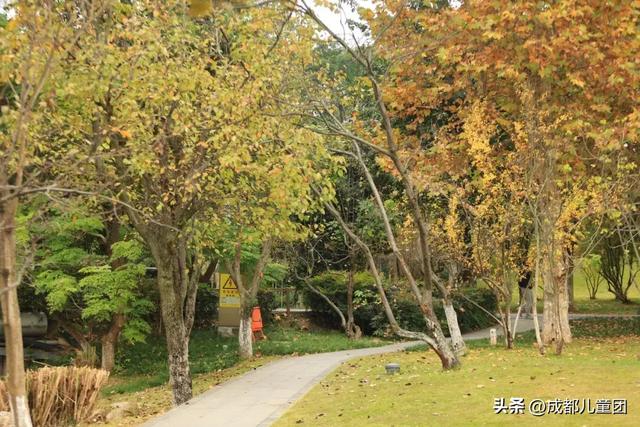 成都公园地图丨晒太阳不打挤的20个公园,东南西北全覆盖