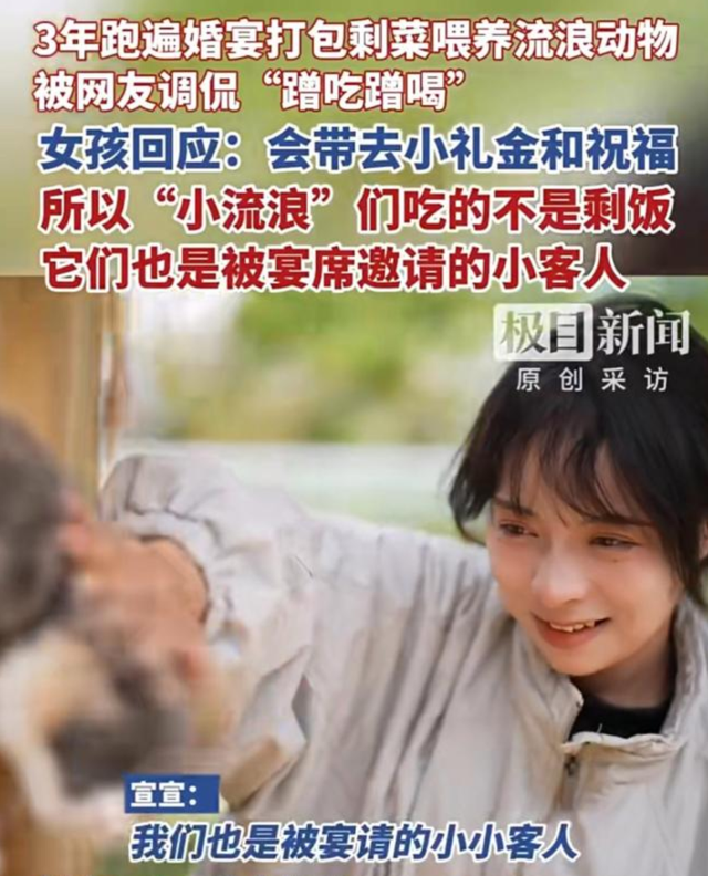 社恐女孩为养流浪动物一年蹭近百场婚宴	，心底的善骗不了人！