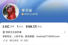 李子柒归来：非遗的新故事开始了图片