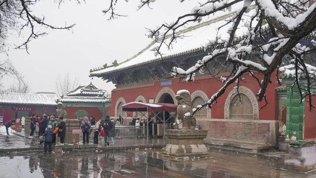 美出圈！春雪落正定，宛如童话世界