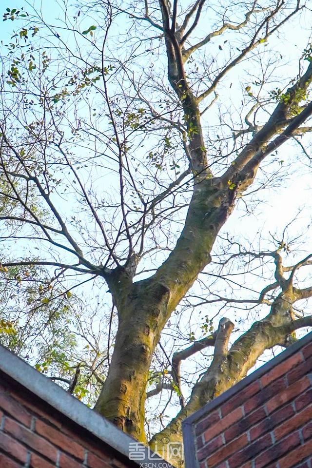 珠海5000年沙丘遗址秘境，免费开放！