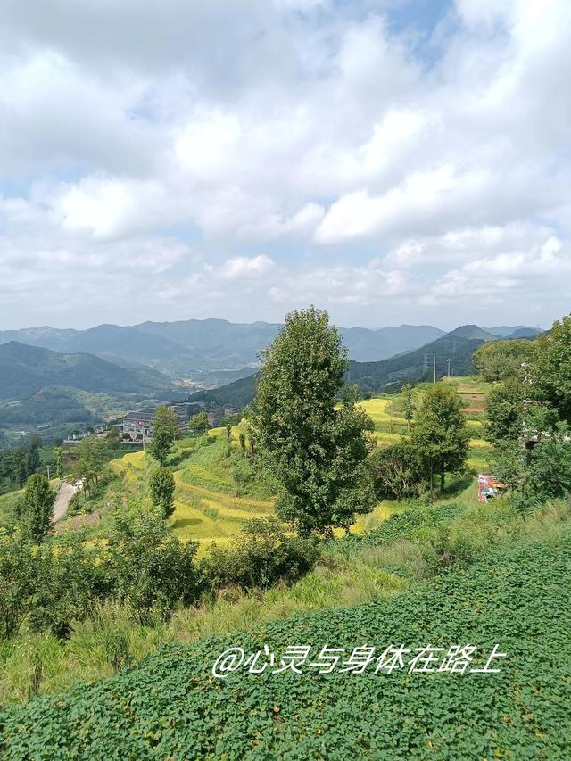 宁波东出发，一天玩转三门七个小众景点，随手一拍就是桌面壁纸。