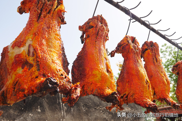 新疆深度文化探索：风土人情、秘境寻味与小众艺术之旅