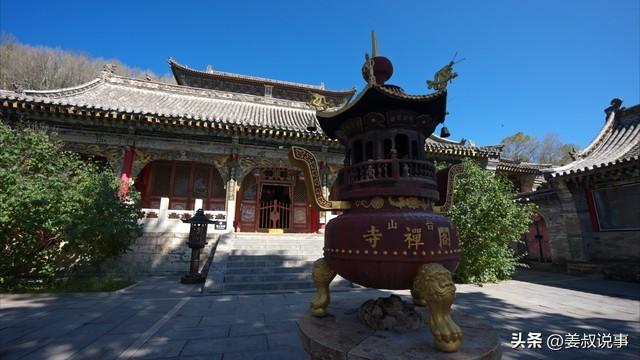 五台山奇遇：灵狐引路，感悟自然之灵