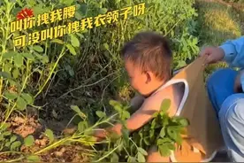 笑死了，萌娃使出吃奶的劲拔不出花生，被哥哥拎起来助力，太可爱图片