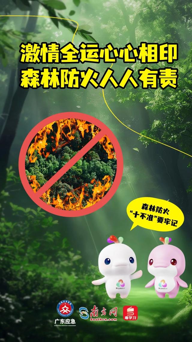 森林特别防护期，严禁这些行为→