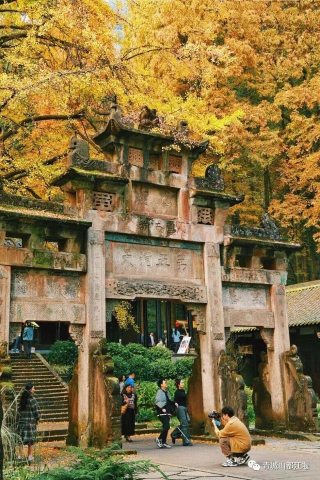 美疯！我就说初冬的都江堰有真东西！