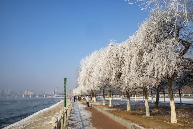 不是北欧！不是加拿大！去这个人少静谧的林海雪原，感受雪国治愈