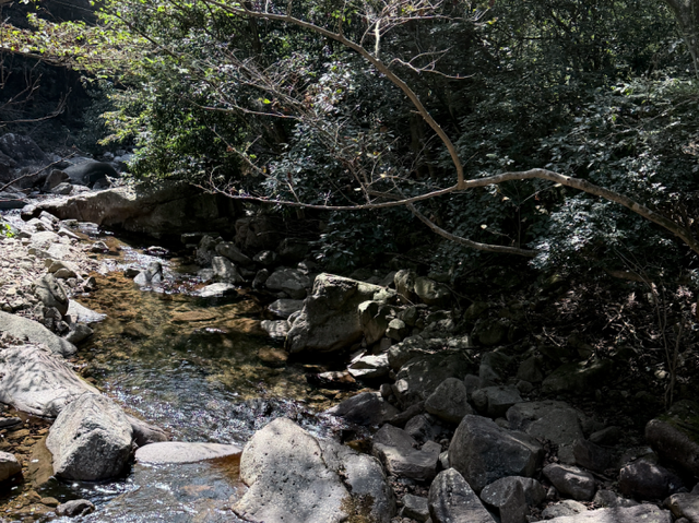 浙西天池关闭？别慌！吴越古道+桃花溪三尖徒步攻略来“救场”～