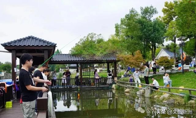 57万人次来打卡！“双节”假期新洲绽放别样精彩