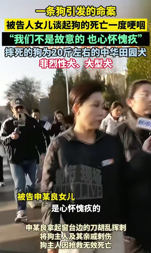 山西摔狗案反转！律师曝郭勇刚9刀非一人所为, 怀疑被自己人误伤