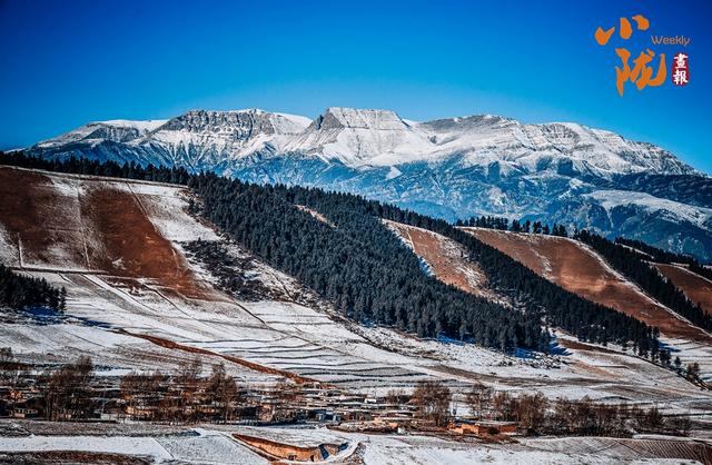 【小陇画报·433期】天祝哈溪：白雪绿林同框 冬日浪漫如画境