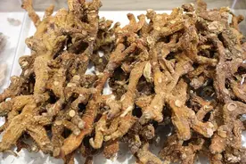 宗筋固涩无力，张仲景一小方，补心，补脾，补肾图片