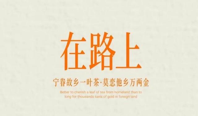 不焦虑，抱古树｜郑州古树漫游计划开启 100杯好礼免费送