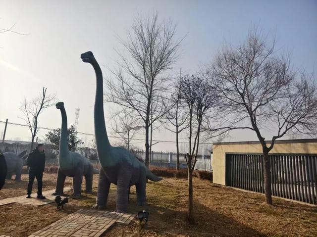 揭秘！诸城服务区为何能成为旅途中的“神秘打卡地”？