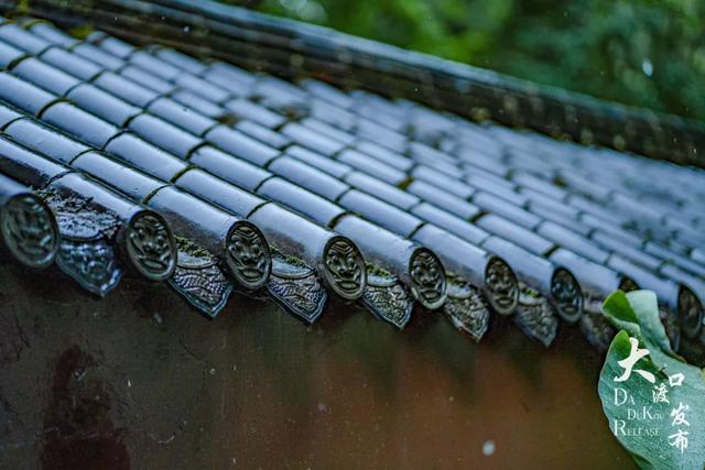 下雨天，大渡口这些地方美成「烟雨江南」，快去拍！