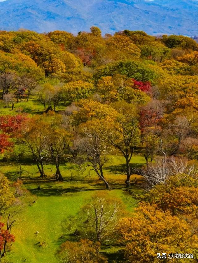 高铁呼啸入通化，解锁这座城的“诗与远方”