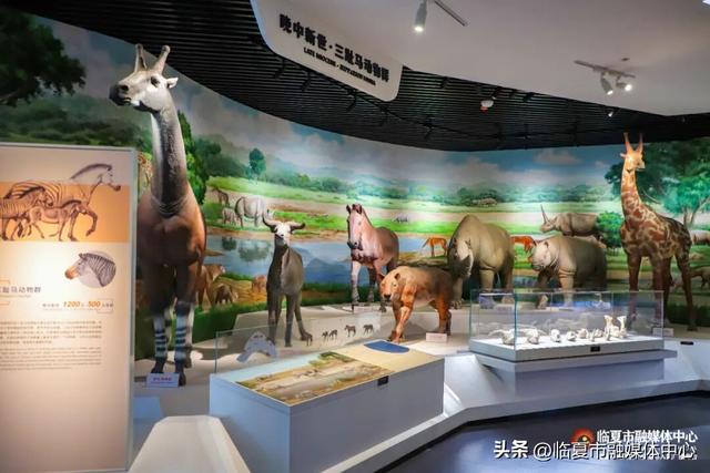 遇见•临夏丨金秋看展 与临夏文博来一场跨越时空的“对视”