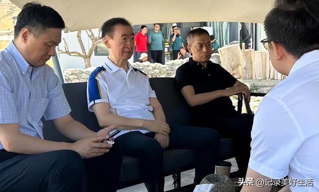 从"小目标"到卖85座广场，王健林为儿子王思聪付出的代价不止五亿