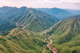 农村的朋友注意！下一步之“林权证”图片