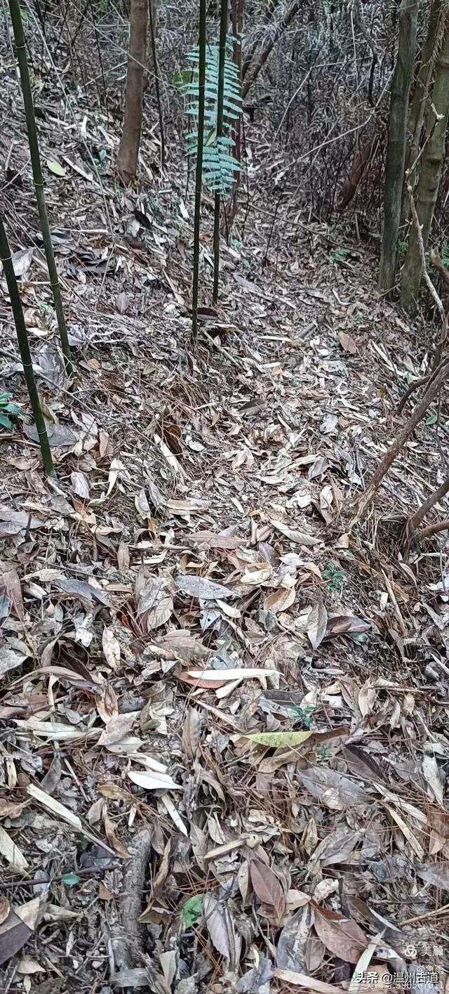 环浙步道上的小众穿越秘境，这条充满挑战的徒步环线你可去过？