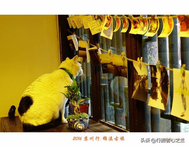 江南古镇行游影记（34）—锦溪古镇（一）