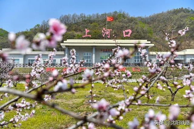 “铁路+文旅”！这些A级景区有优惠！