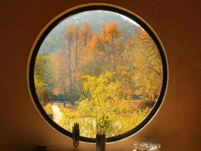 给你个准信！韶关森林红！红！红啦~