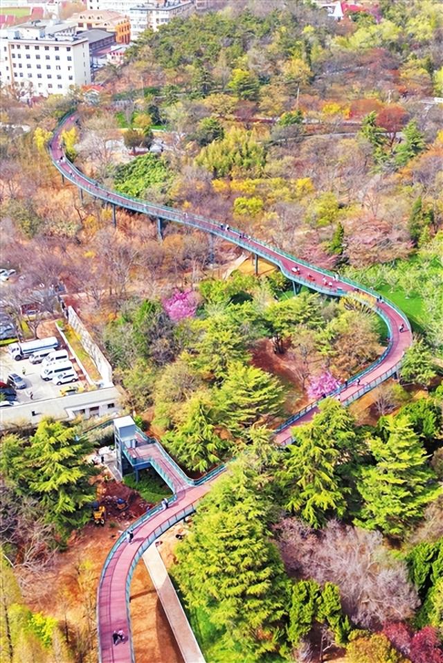 青岛环太平山公交正式开通了
