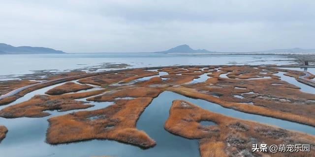 南疆腹地寻净土，冬日湖光映雪峰，都市人终于找到心灵归宿