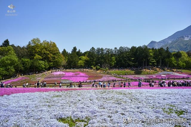 南京本地人怒甩8个私藏景点！夫子庙？中山陵？这辈子不会再去！