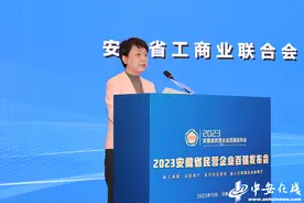 2023安徽省民企百强榜单揭晓 民企百强分析报告发布图片