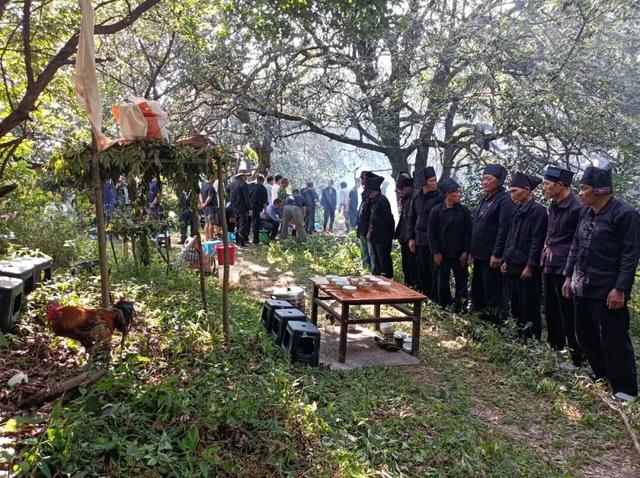 探秘“三遗产” | 一片森林与民族文化的交融共生