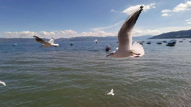 抚仙湖笔架山赋：远眺近瞰烟波渺 仙人驻陛雨池瑶