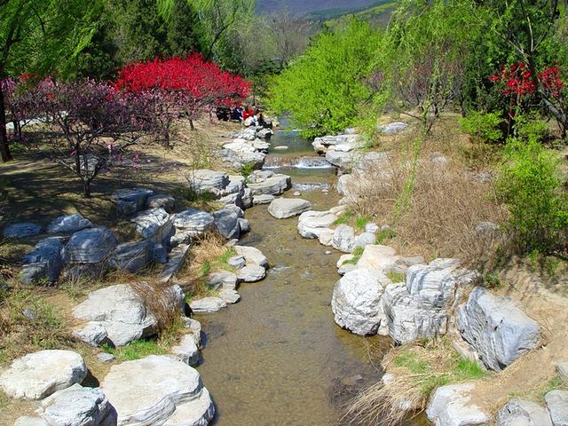 北京旅游：走进西山脚下的植物园（图）