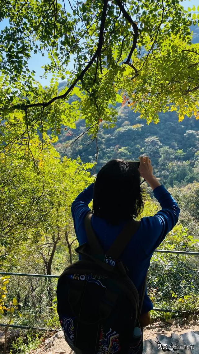 以我4次经历，带你打卡北京香山，北京的朋友请补充