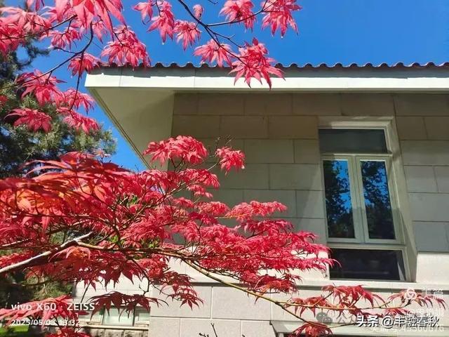 申艳娟｜北京宽沟会议中心：京郊的宁静桃源