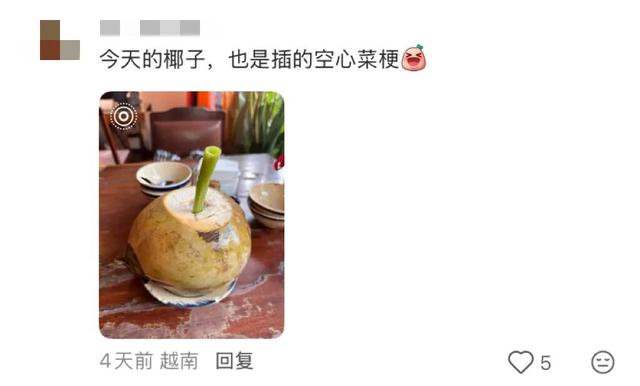 地理冷知识—越南的吸管