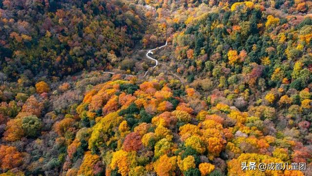 成都不远！这三个地方的红叶，美得很超过！