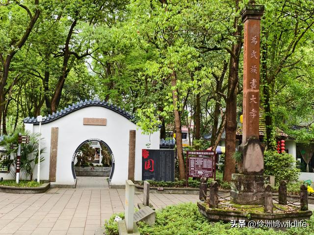 成都古镇（15）郫县唐昌古镇崇宁公园·大椿巷