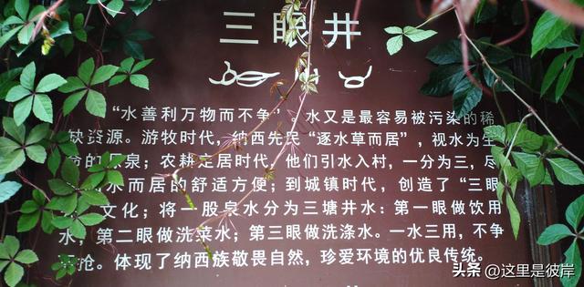乘公交游丽江的束河古镇