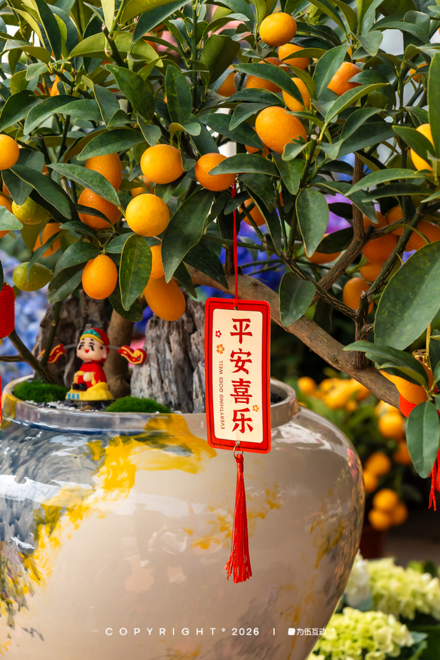 “马”上逛花街！珠海20年老花市焕新登场，新春打卡攻略速收！