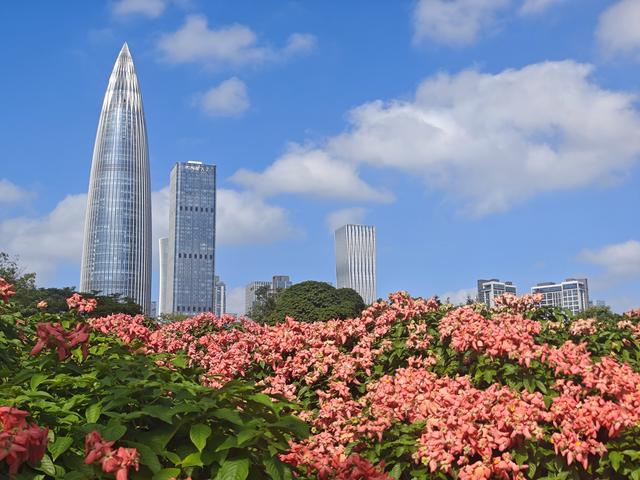 从学苑大道入大沙河绿过大学城后进深圳弯公园流花山景点【高清】