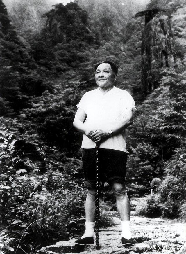 彭德怀临终前多次求见朱德未果，朱德怒斥：还有啥子可怕的